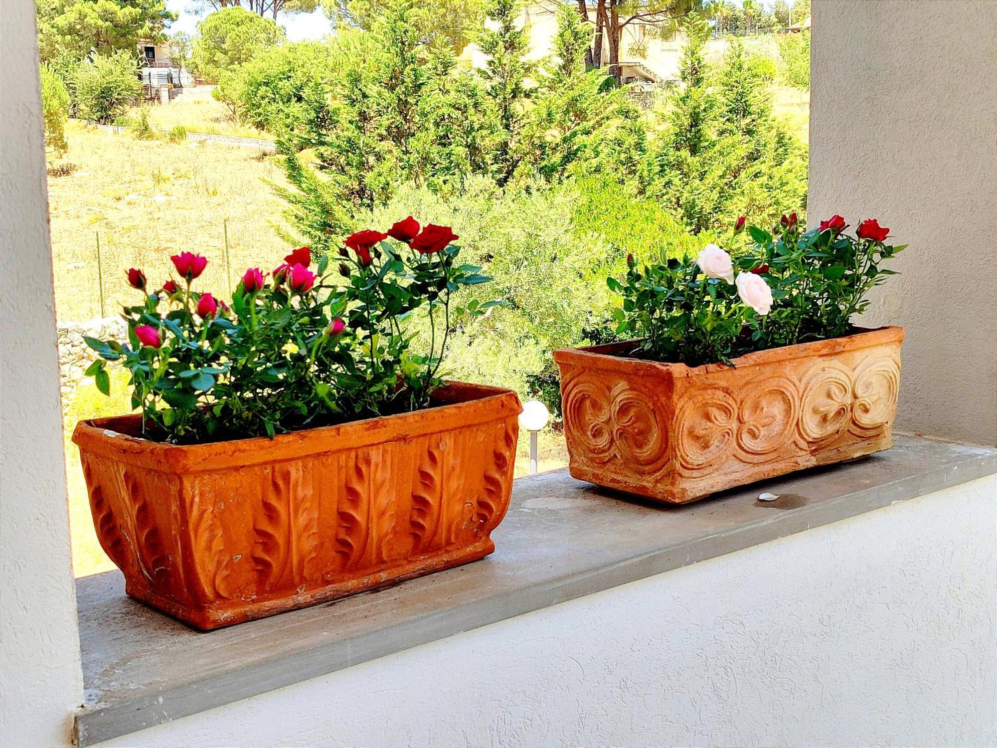 Villa Orizzonte Sullo Jonio Avola Εξωτερικό φωτογραφία