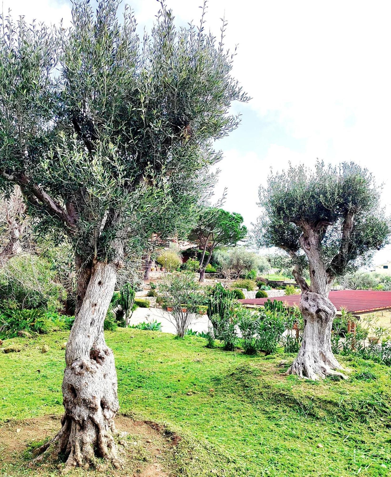 Villa Orizzonte Sullo Jonio Avola Εξωτερικό φωτογραφία