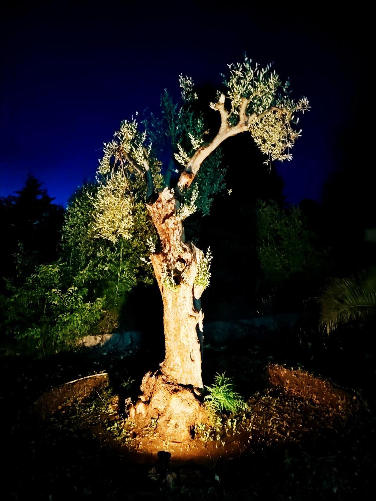 Villa Orizzonte Sullo Jonio Avola Εξωτερικό φωτογραφία